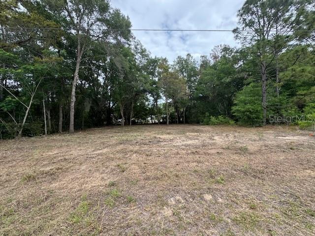 Tbd Southwest Beach Boulevard Dunnellon, FL 34431 - Photo 9 of 12