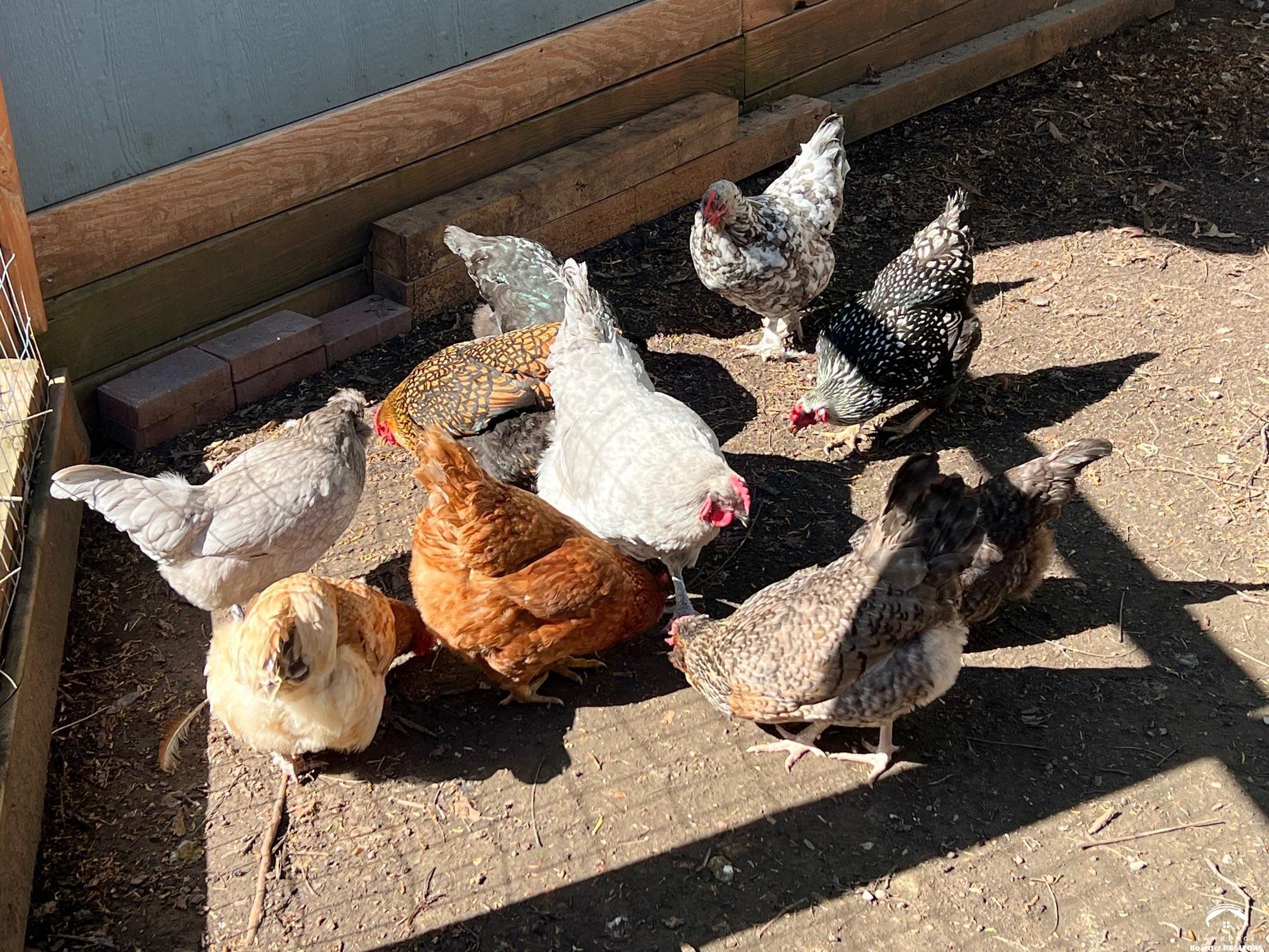 523 Pioneer Road Lawrence, KS 66049 - Photo 45 of 97