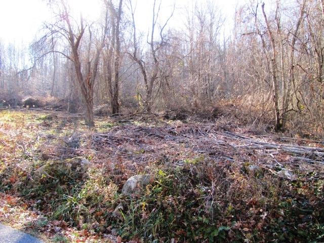 Black Oak Road Rock, WV 24747 - Photo 4 of 14 Gallery Image 4