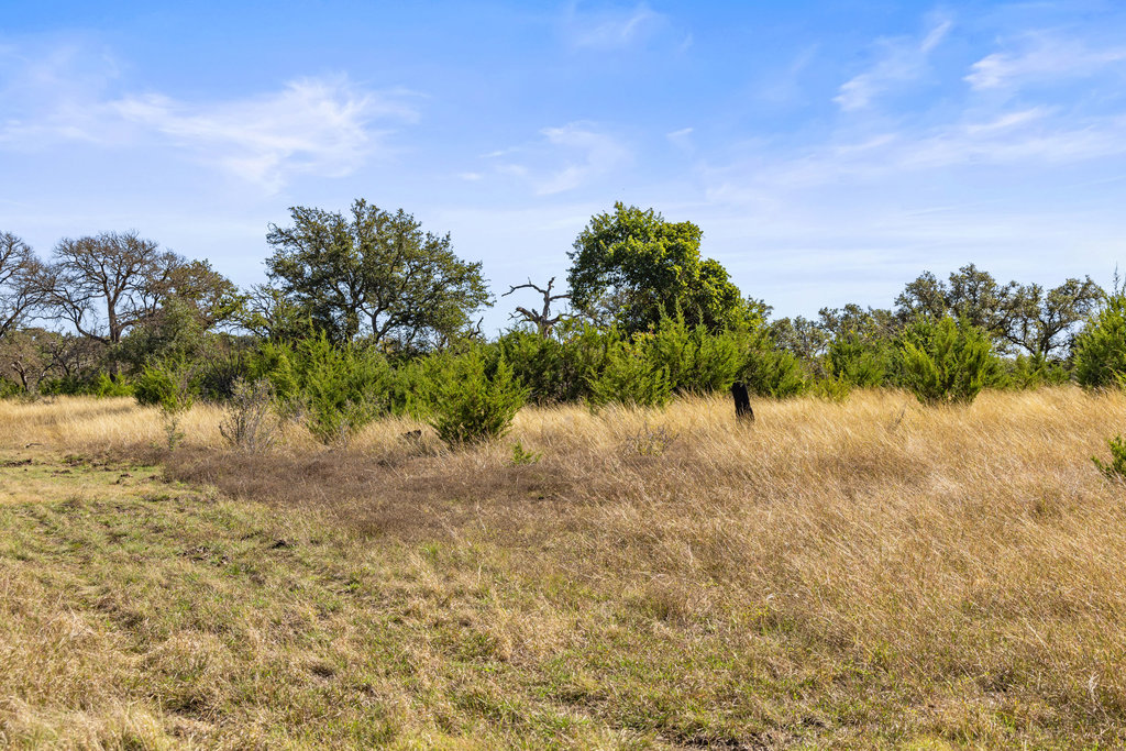 Tbd Lyda Ranch Road Bertram, TX 78605 - Photo 19 of 28 a view of lake with green space