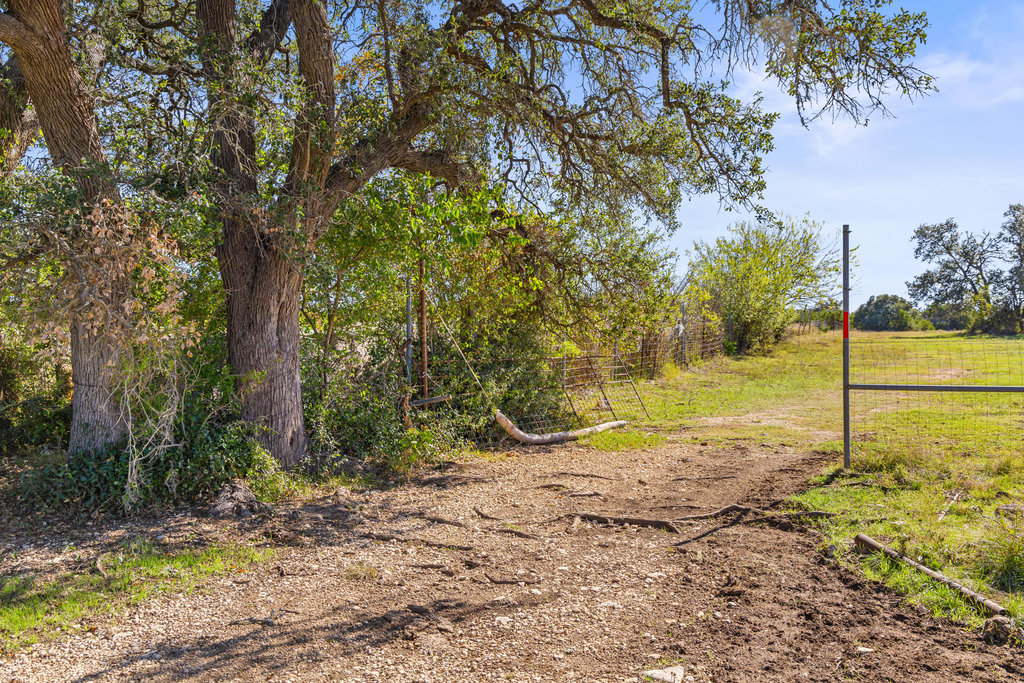 Tbd Lyda Ranch Road Bertram, TX 78605 - Photo 21 of 28 a view of a yard with an trees