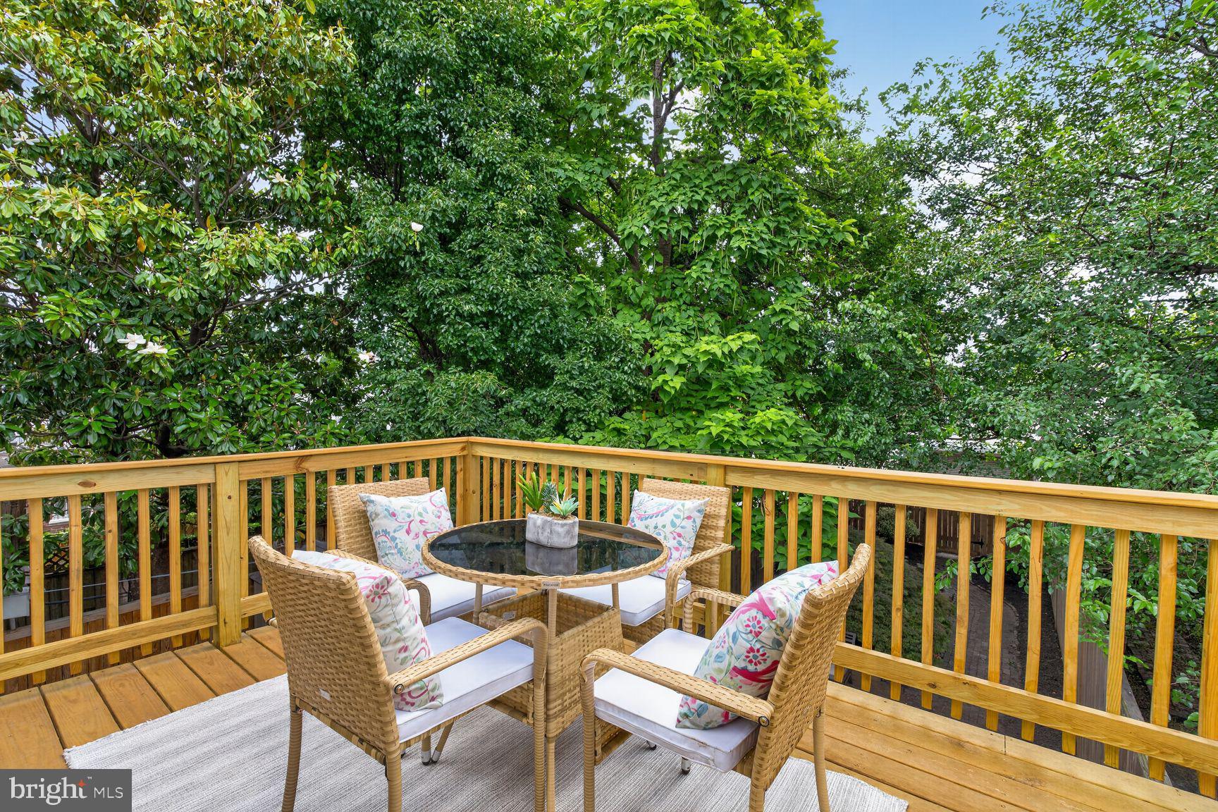 641 11th Street Northeast Washington, DC 20002 - Photo 21 of 22 Serene deck oasis amidst lush greenery.