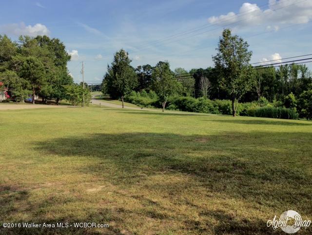 4508 Fall City Road Jasper, AL 35503 - Photo 12 of 26 Gallery Image 12