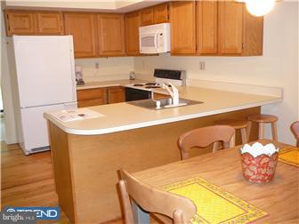 10 Stirling Court Wayne, PA 19087 - Photo 8 of 12 Kitchen