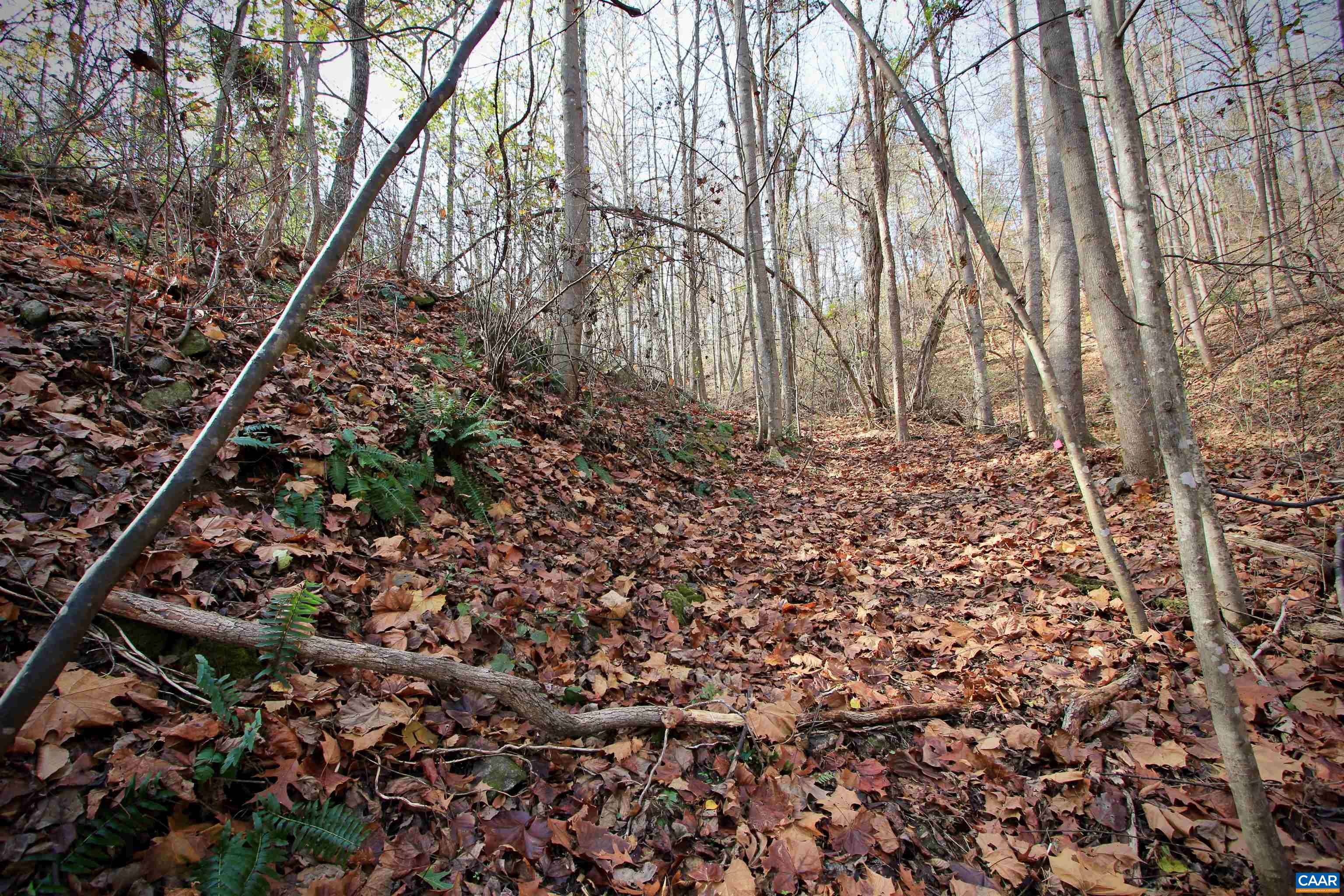 Tbd Locust Hollow Road Charlottesville, VA 22903 - Photo 15 of 15 Gallery Image 15