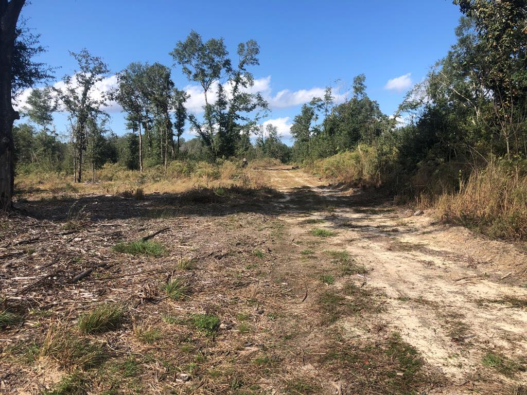 Undisclosed Address Samson, AL 36477 - Photo 23 of 39