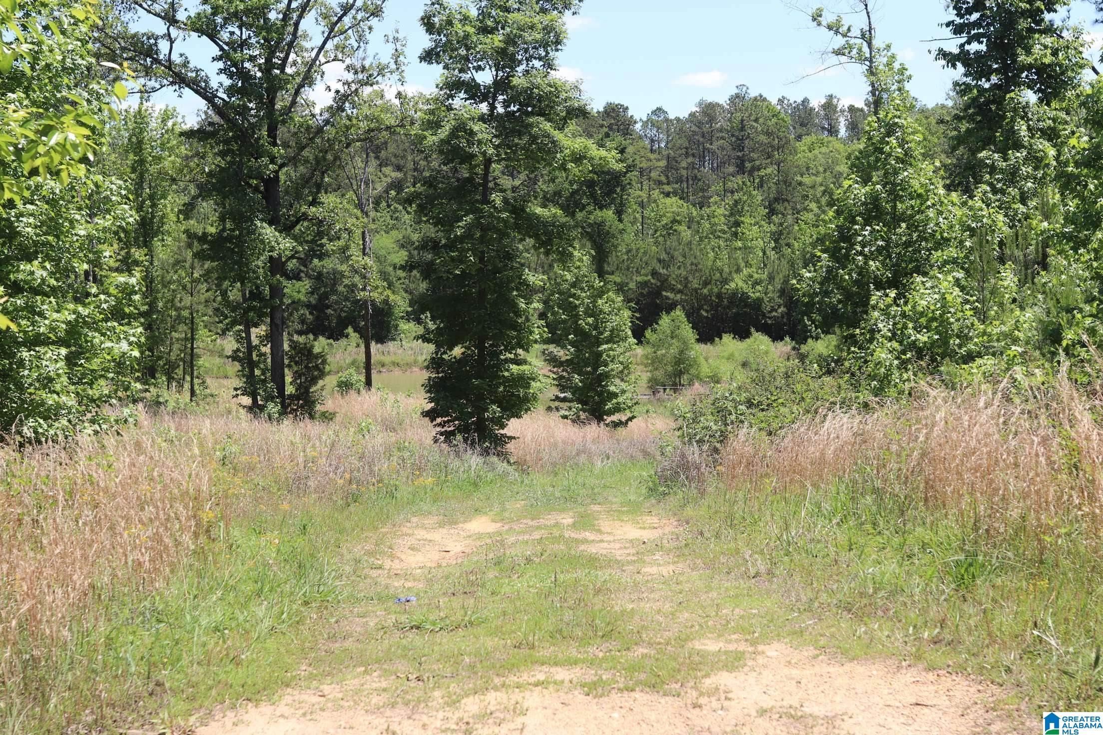 2930 Shocco Springs Road Talladega, AL 35160 - Photo 80 of 93
