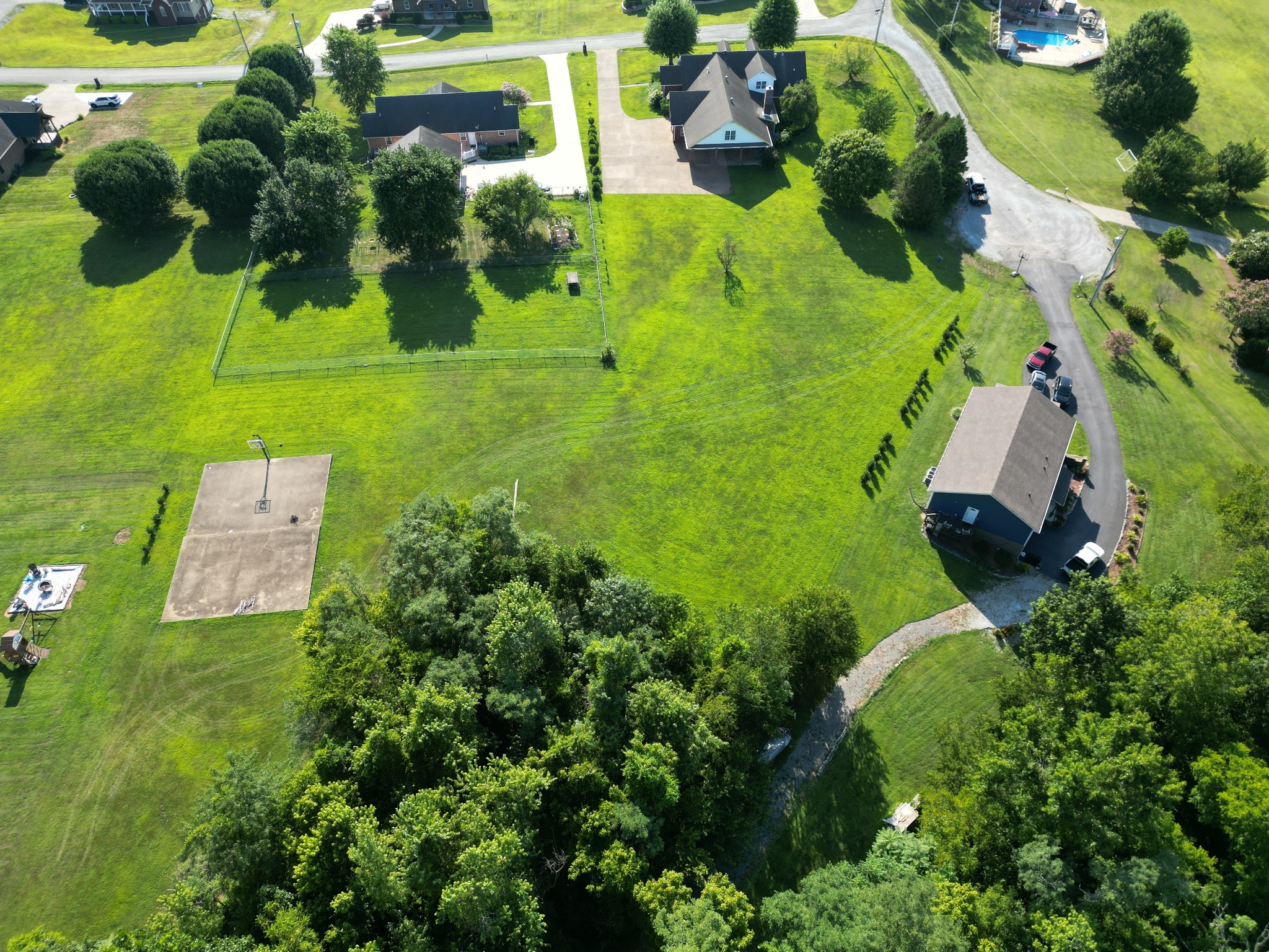 0 Meadowview Circle Carthage, TN 37030 - Photo 3 of 13 a view of a garden with plants