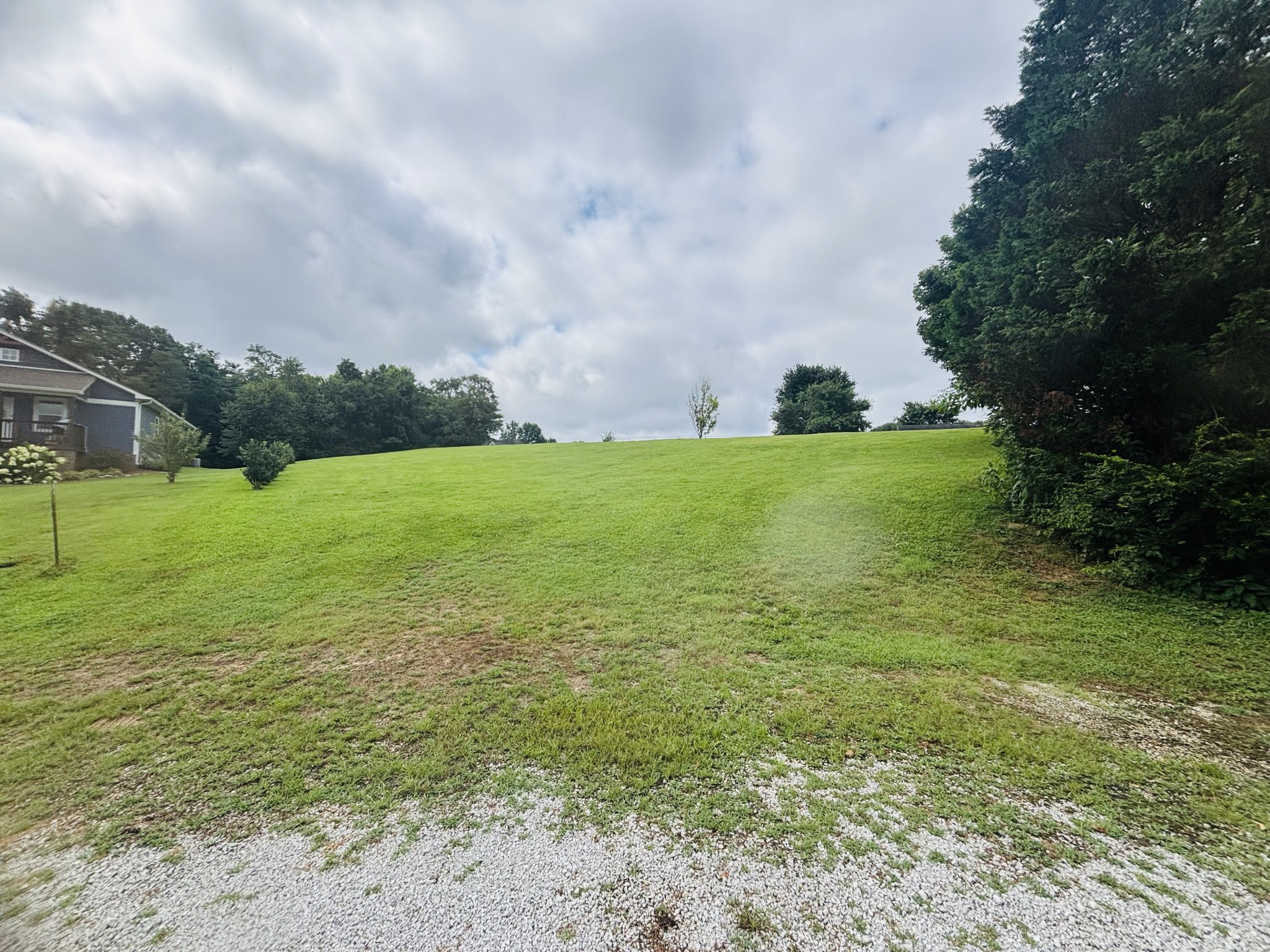0 Meadowview Circle Carthage, TN 37030 - Photo 4 of 13 a view of a field with an trees in front of the house