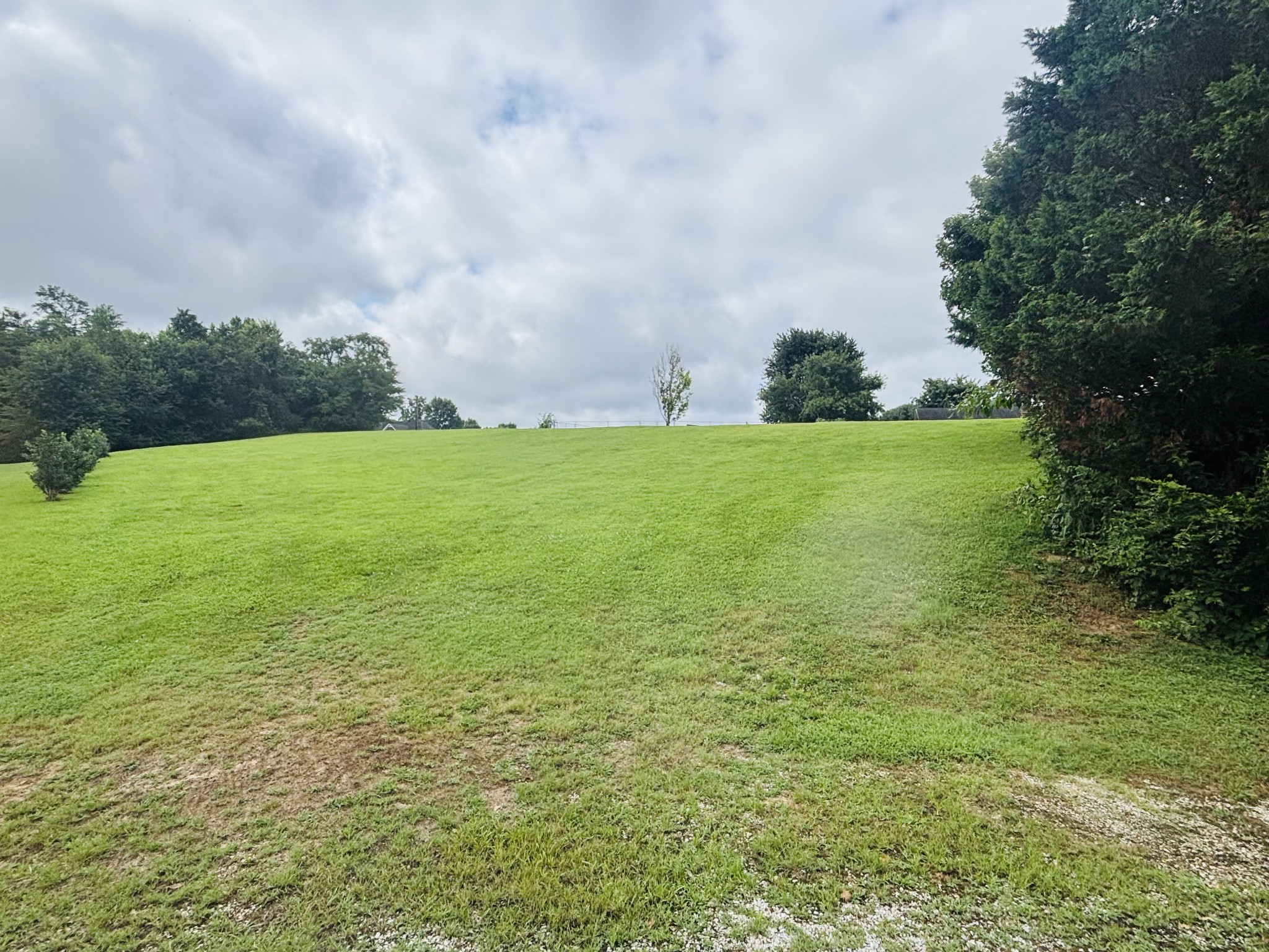 0 Meadowview Circle Carthage, TN 37030 - Photo 8 of 13 a view of an ocean from a yard