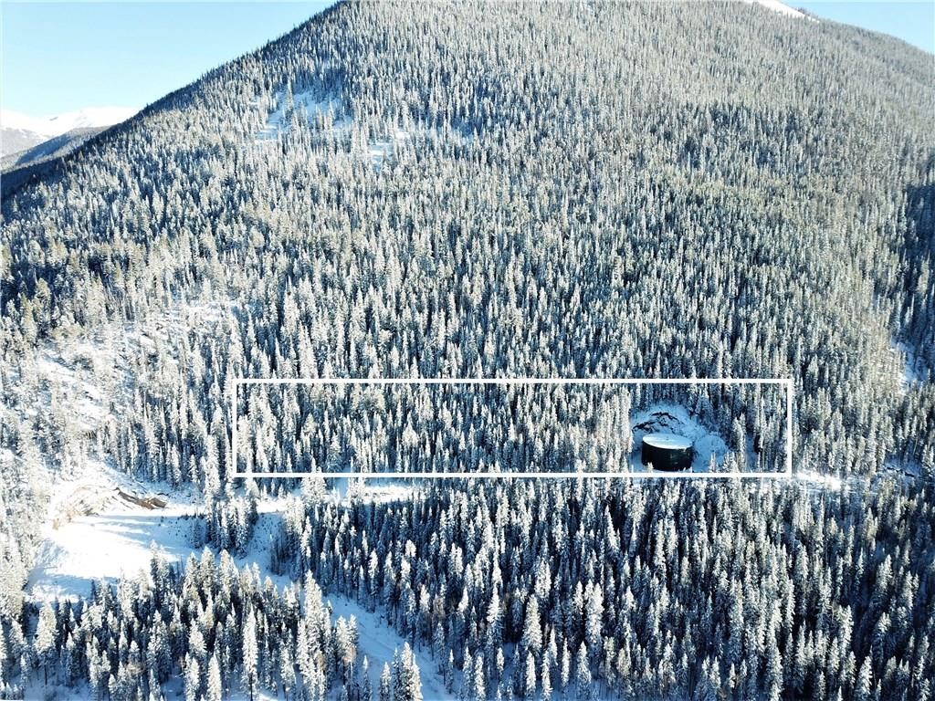 0 Water Tank Road Keystone, CO 80435 - Photo 4 of 8