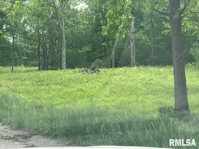 $29,000 | 3401-lot 13) Ridgecrest Drive, Mount Vernon, IL 62864