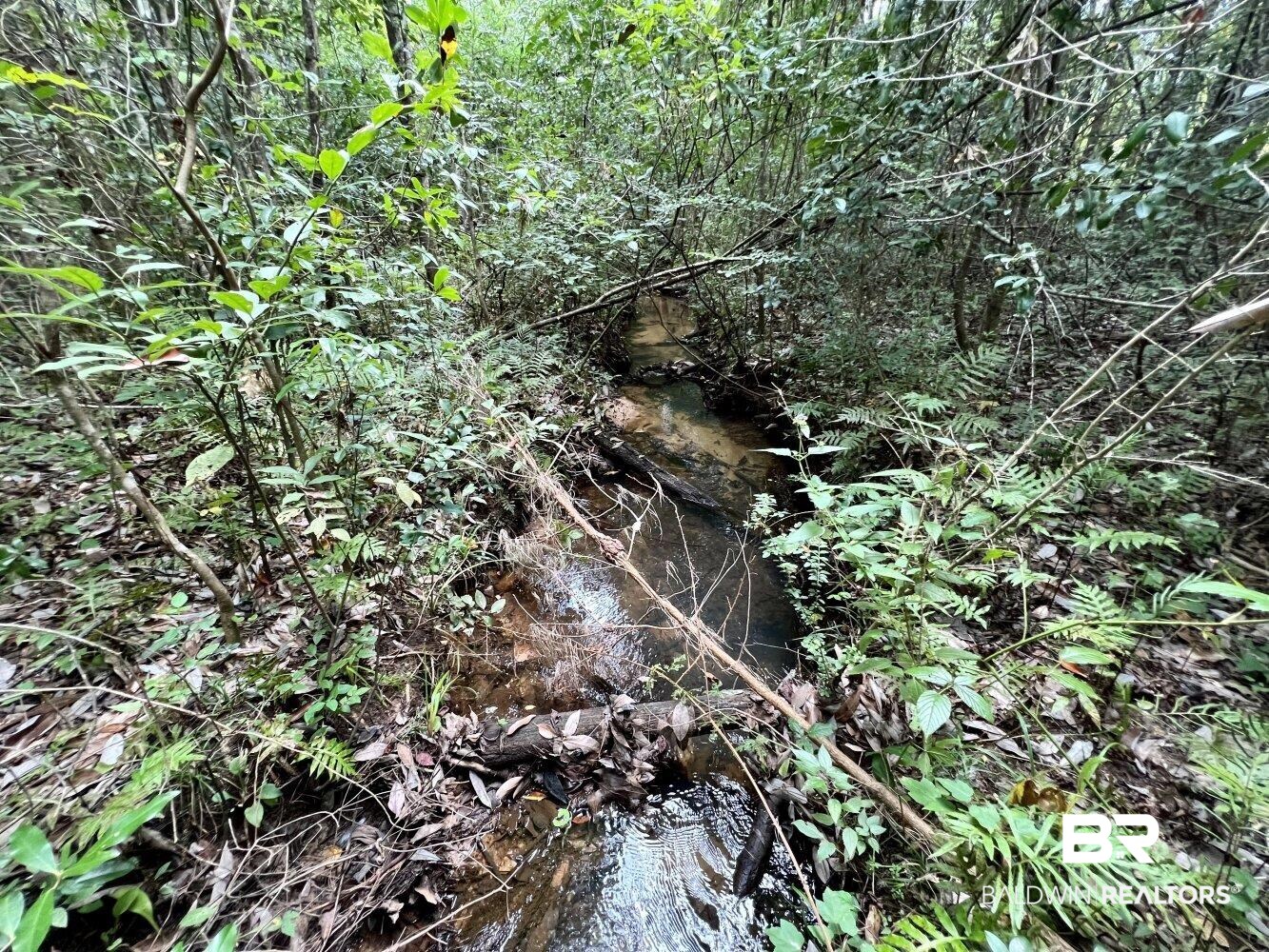 0 Bear Fork Road Mobile, AL 36618 - Photo 37 of 50