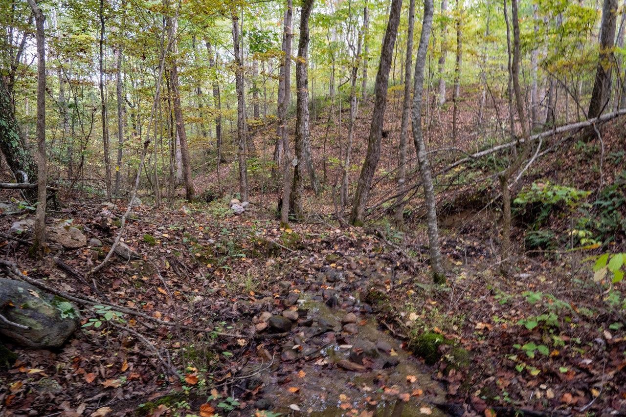 0 Rifle Lane Luray, VA 22835 - Photo 22 of 25 Gallery Image 22