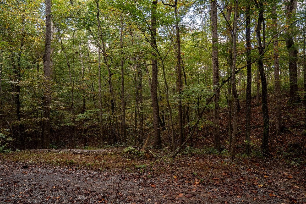 0 Rifle Lane Luray, VA 22835 - Photo 5 of 25 Gallery Image 5