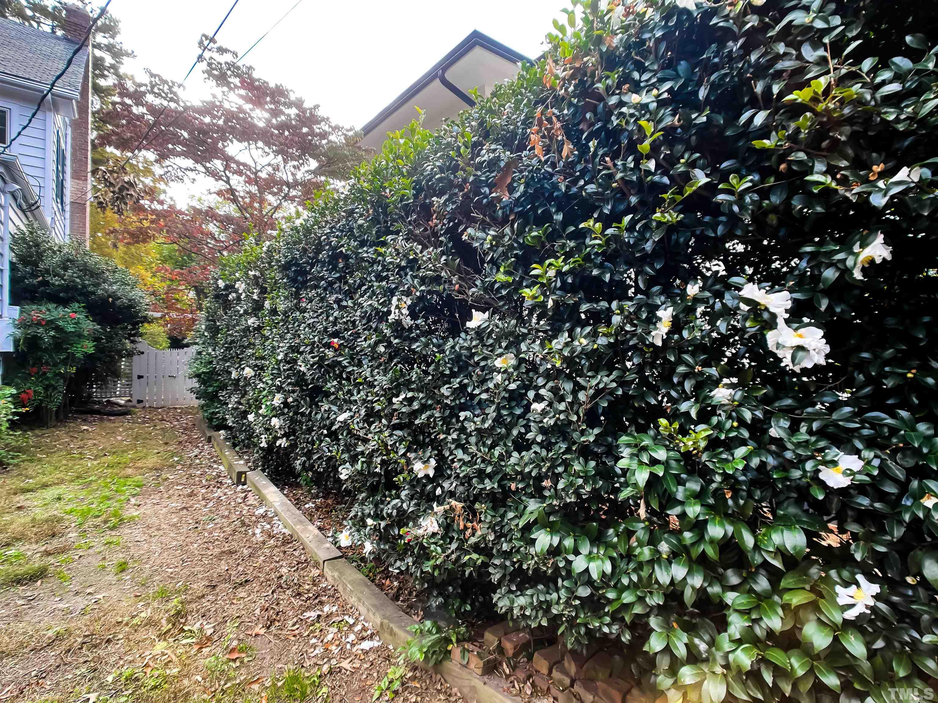 205 Woodburn Road Raleigh, NC 27605 - Photo 33 of 42