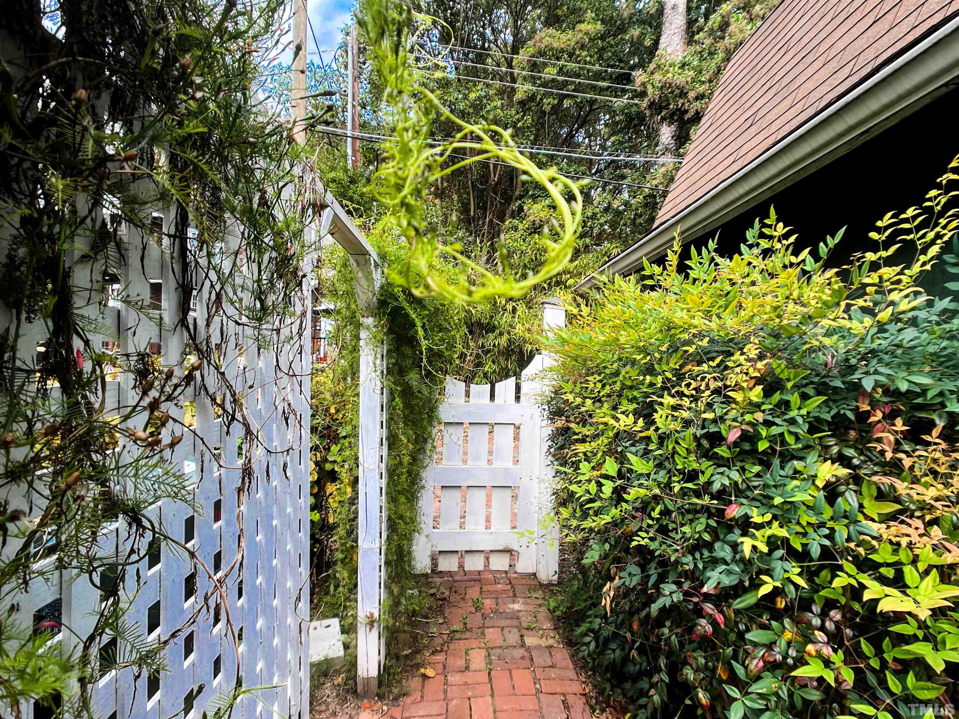 205 Woodburn Road Raleigh, NC 27605 - Photo 36 of 42 a plant that is in front of a building