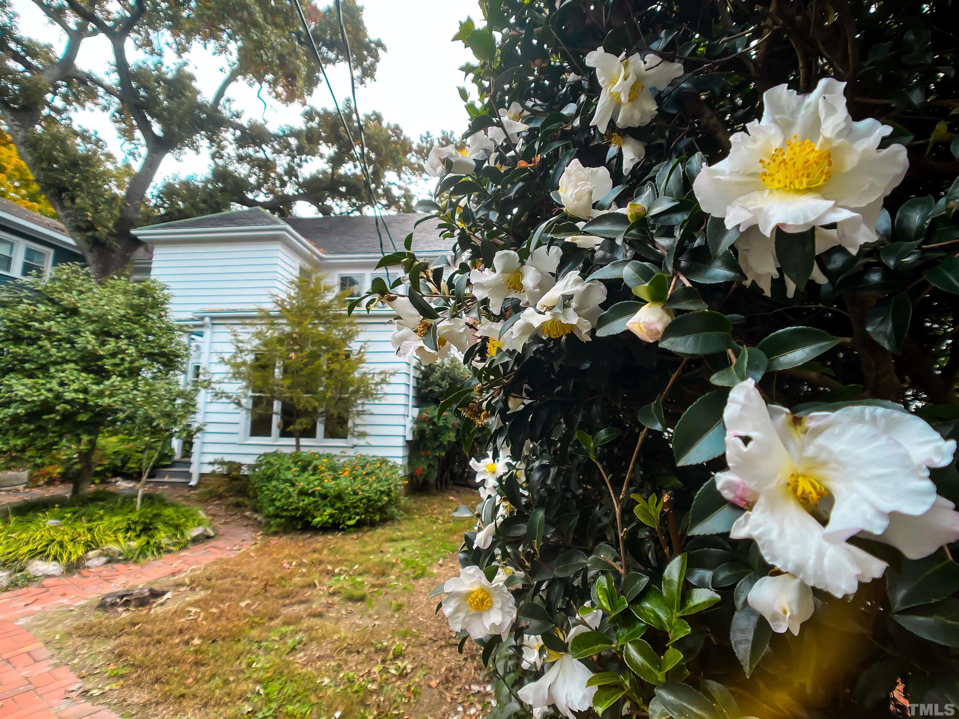 205 Woodburn Road Raleigh, NC 27605 - Photo 42 of 42 a view of a house with a yard and sitting area