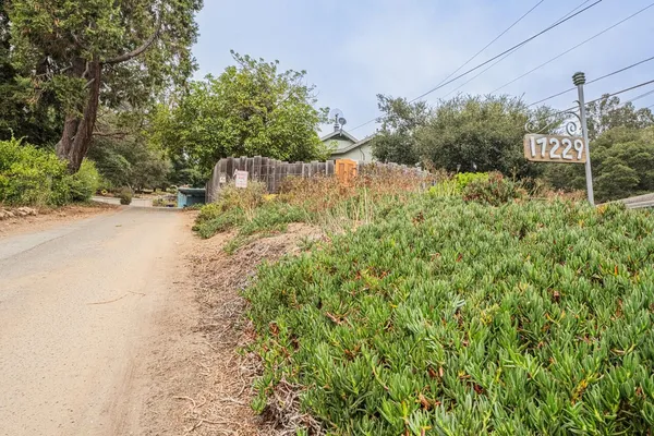 a view of a yard and a trees