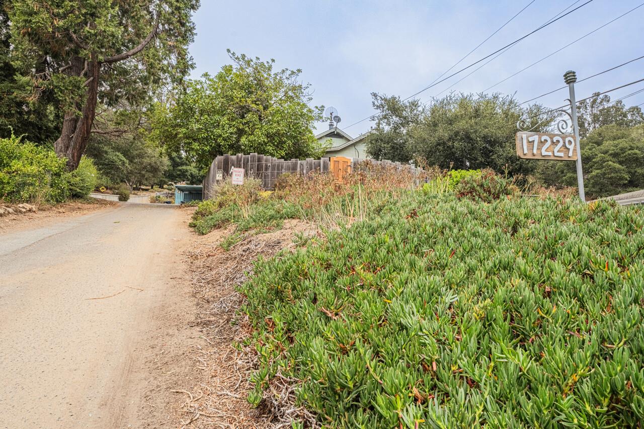 a view of a yard and a trees