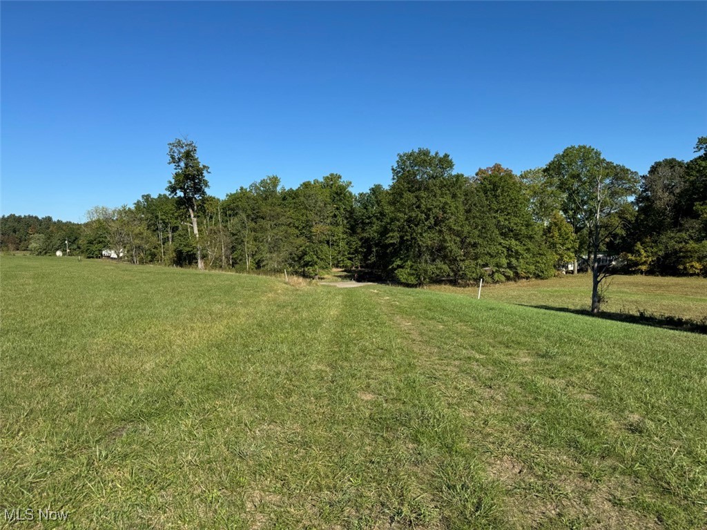 64877 Pigeon Gap Road Cambridge, OH 43725 - Photo 14 of 23 View of rural land