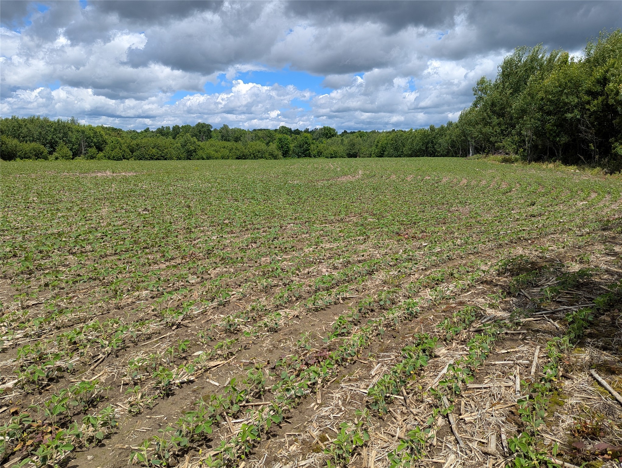 N4180 Wilderness Road Glen Flora, WI 54526 - Photo 14 of 29