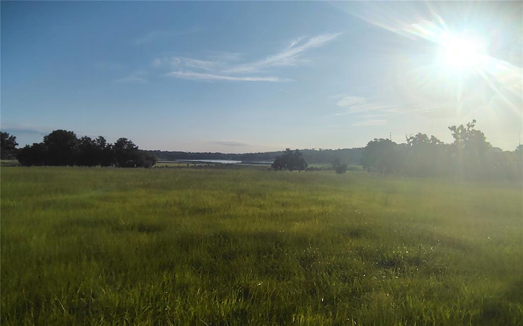 Covington Road Dade City, FL 33525 - Photo 10 of 14 a view of a lake with a city