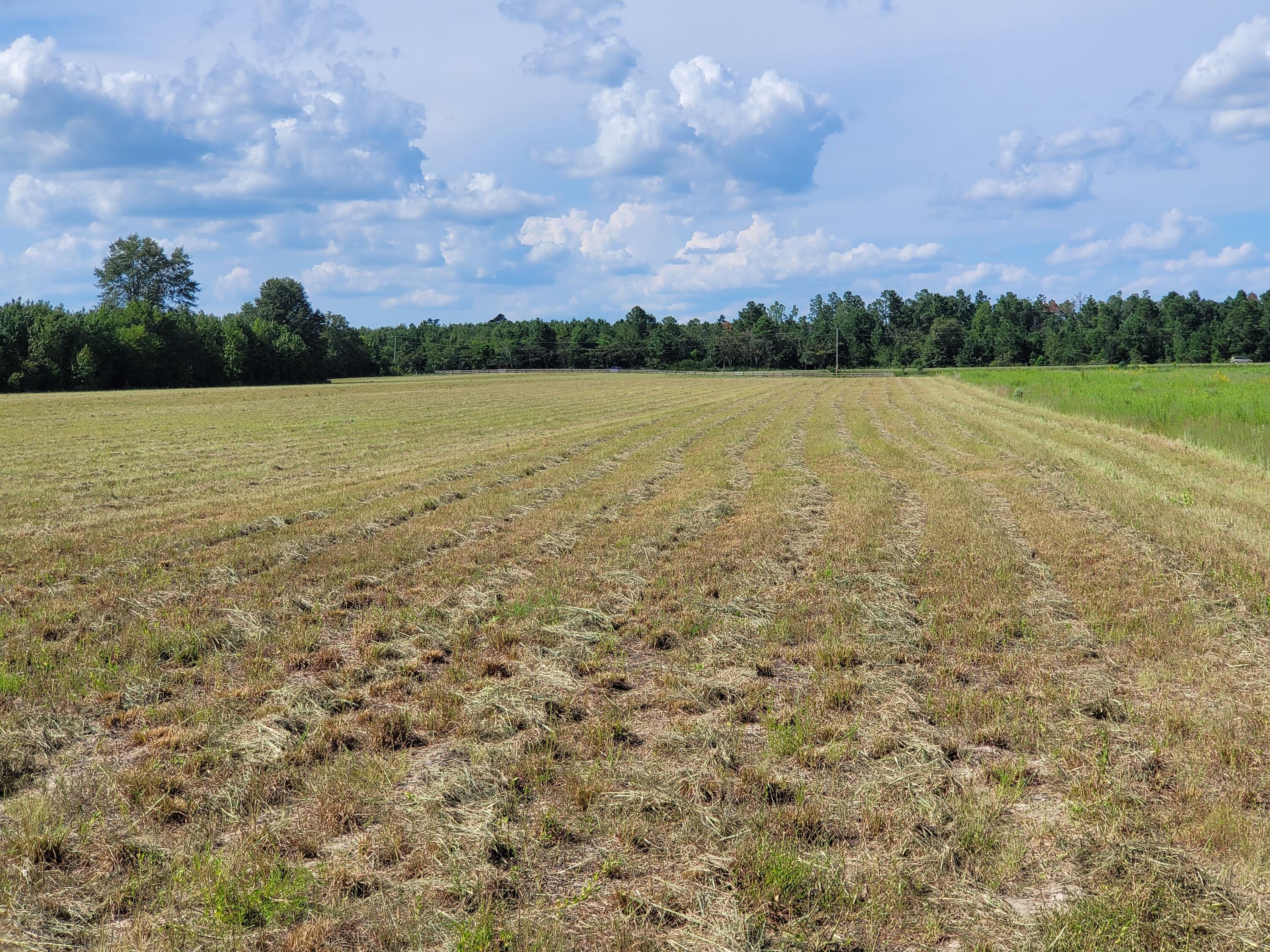 0 Tinker Creek Road Williston, SC 29853 - Photo 13 of 20