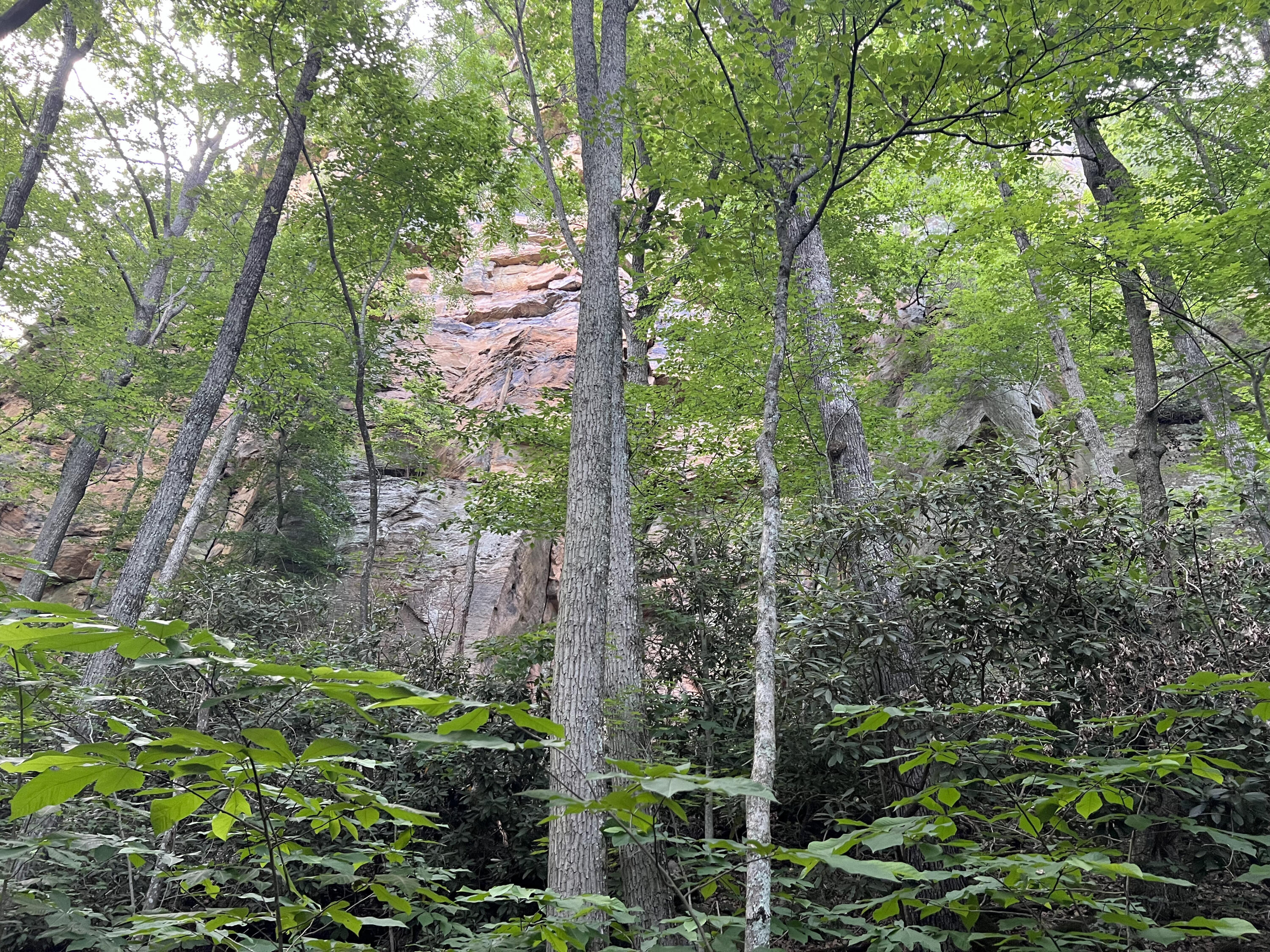 7000 North Fork Road Stanton, KY 40380 - Photo 13 of 35 IMG_2019