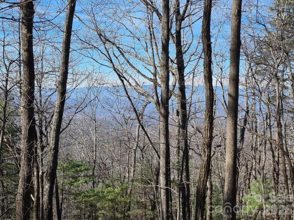 0 Roper Hollow Road Morganton, NC 28655 - Photo 11 of 12 a view of forest