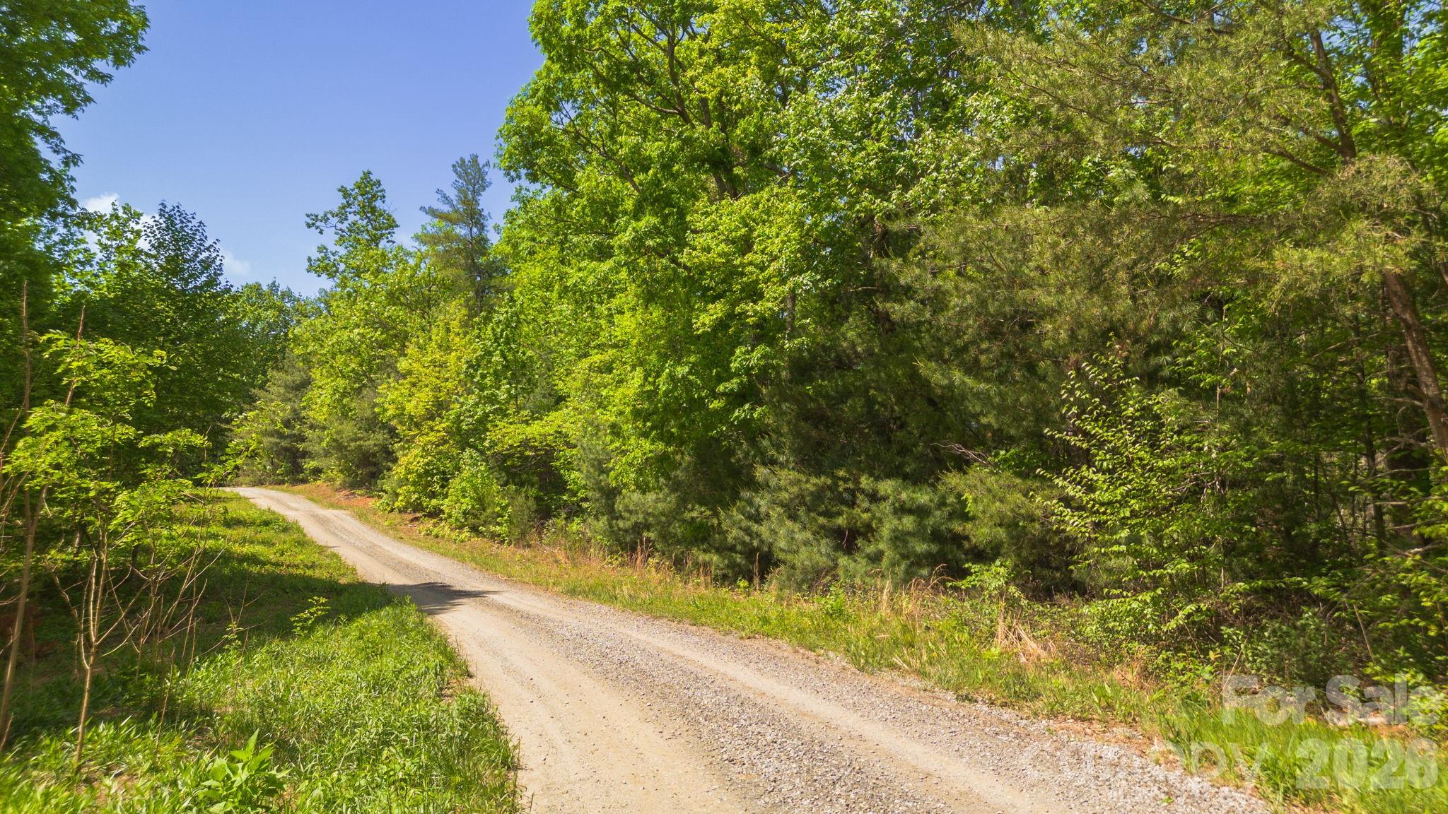 0 Roper Hollow Road Morganton, NC 28655 - Photo 5 of 12 a view of a garden