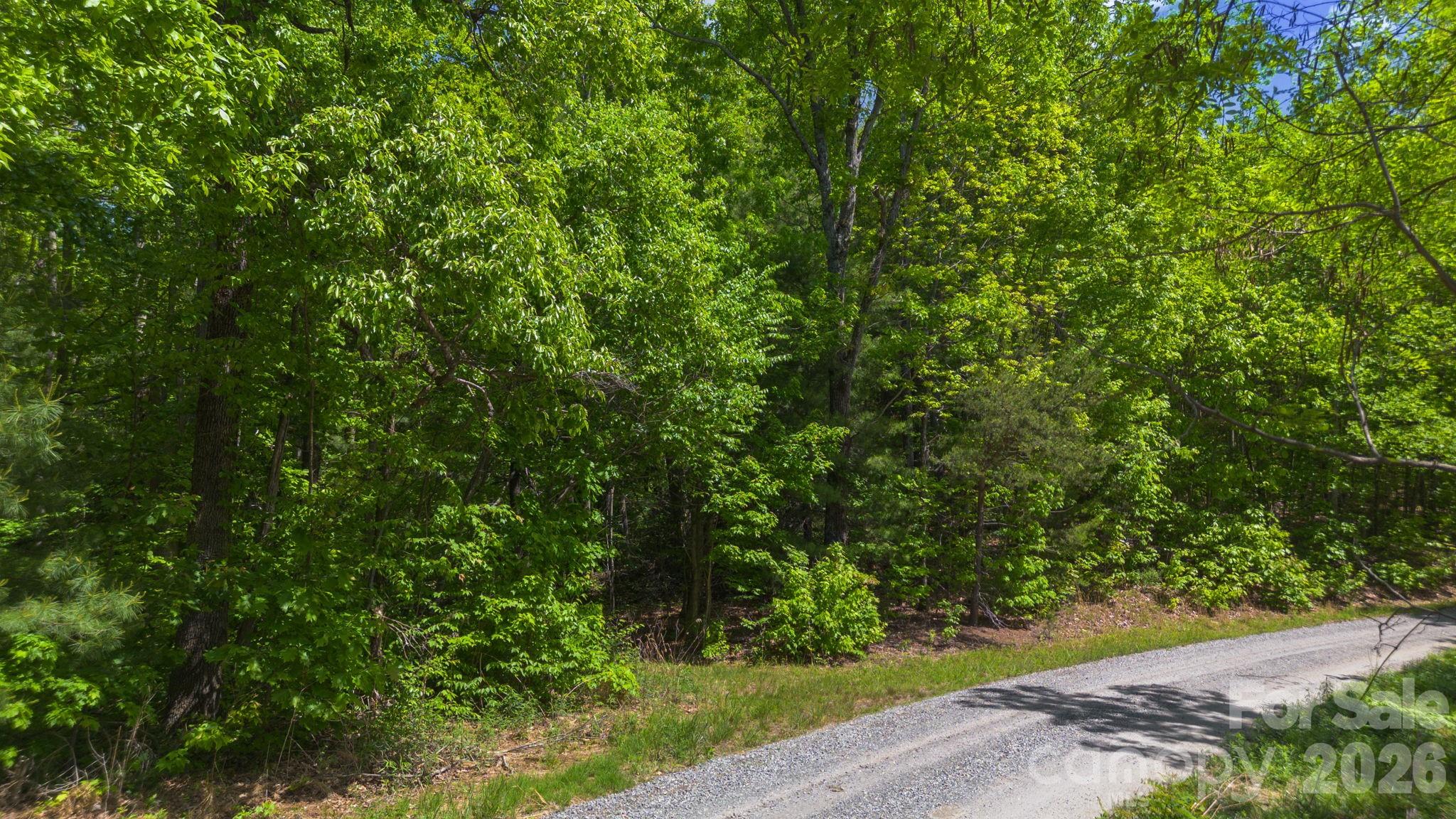 0 Roper Hollow Road Morganton, NC 28655 - Photo 6 of 12 a view of a yard with plants and trees