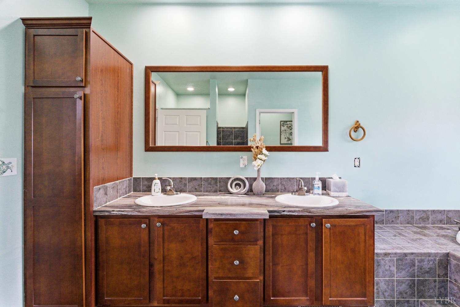 2067 Flint Hill Road Moneta, VA 24121 - Photo 22 of 70 a bathroom with a sink and a mirror