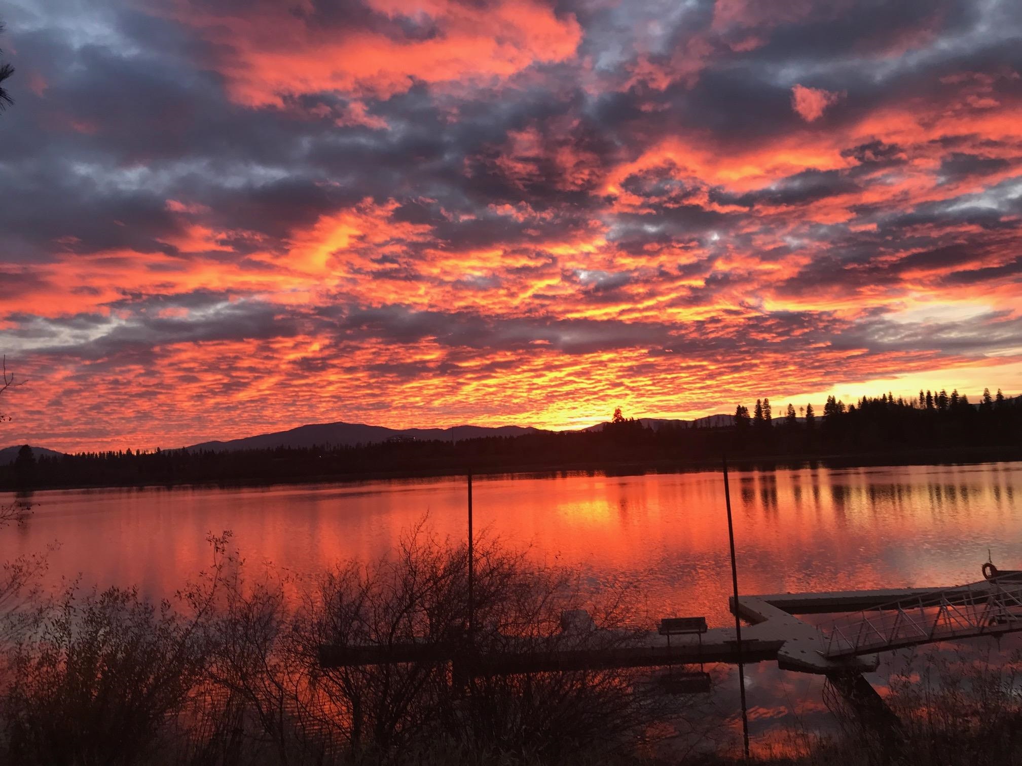 69 Tall Pne Loop North Usk, WA 99180 - Photo 43 of 44