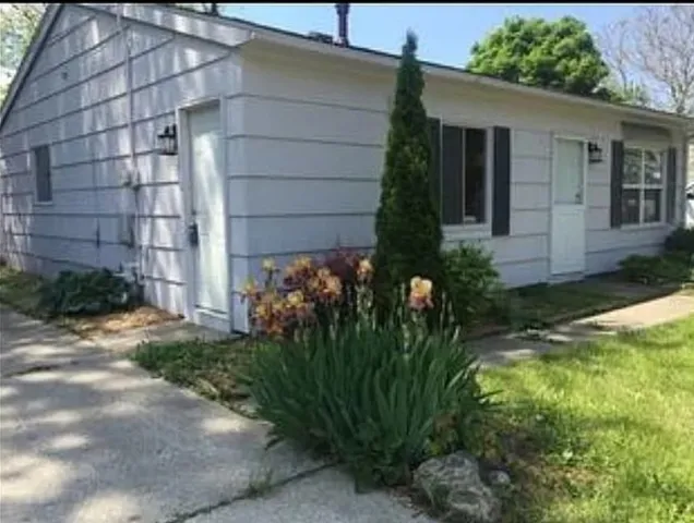 a view of a backyard with plants