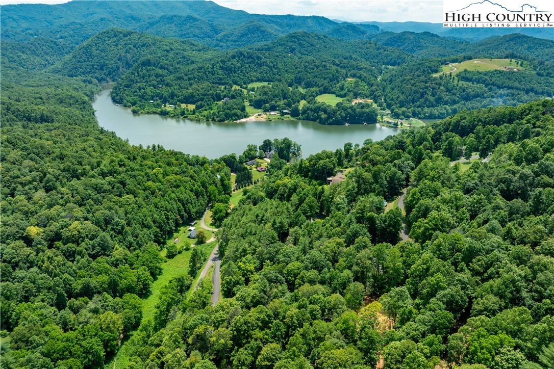Lot 2 Lake Ridge Butler, TN 37640 - Photo 12 of 26 a view of a lush green forest with lots of trees
