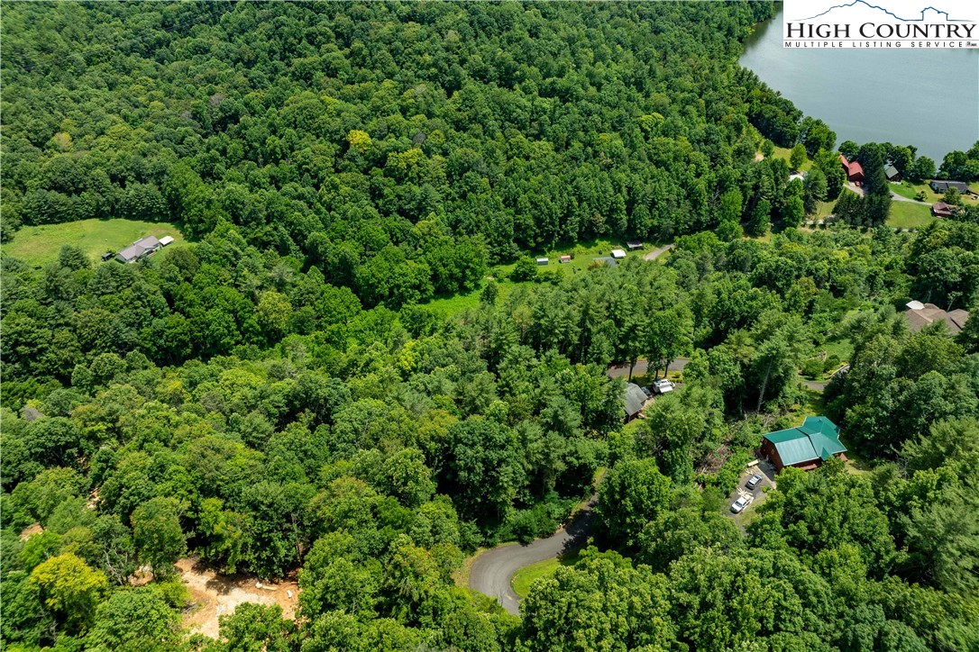 Lot 2 Lake Ridge Butler, TN 37640 - Photo 16 of 26 a view of a bunch of trees and bushes