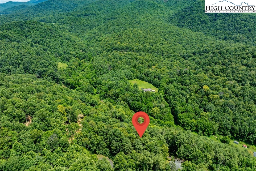 Lot 2 Lake Ridge Butler, TN 37640 - Photo 17 of 26 a view of a tree in a yard