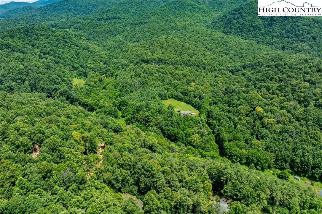 Lot 2 Lake Ridge Butler, TN 37640 - Photo 18 of 26 a view of a lush green forest