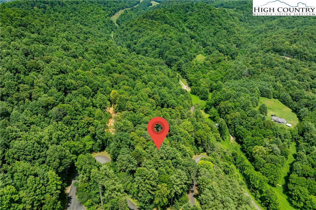 Lot 2 Lake Ridge Butler, TN 37640 - Photo 19 of 26 a close up of a lush green forest