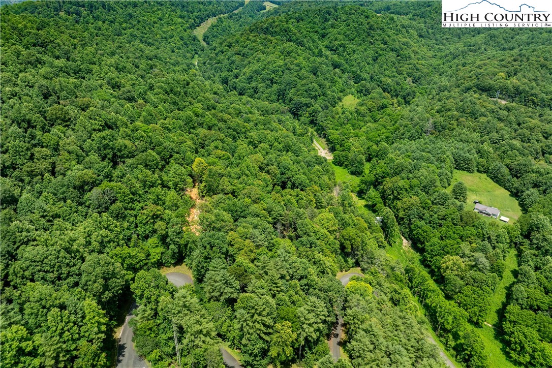 Lot 2 Lake Ridge Butler, TN 37640 - Photo 20 of 26 a view of a lush green forest