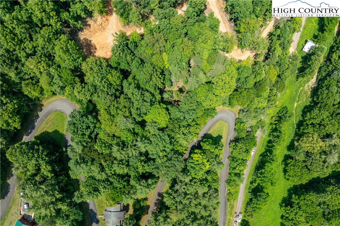 Lot 2 Lake Ridge Butler, TN 37640 - Photo 2 of 26 a backyard of a house with lots of plants