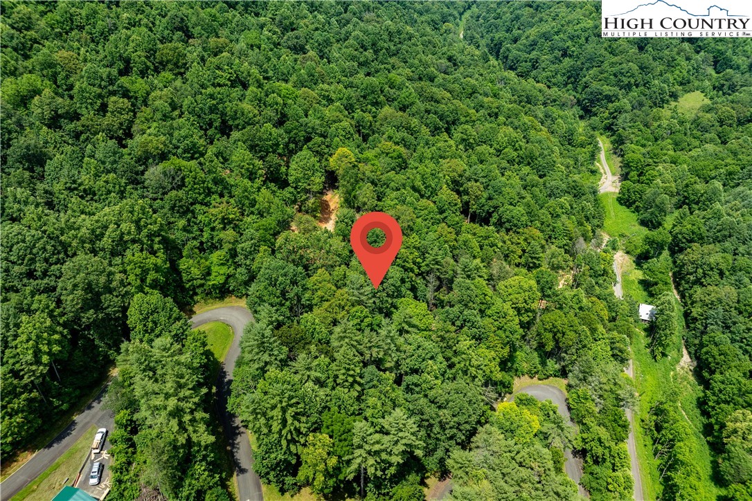 Lot 2 Lake Ridge Butler, TN 37640 - Photo 21 of 26 a view of a forest with a park