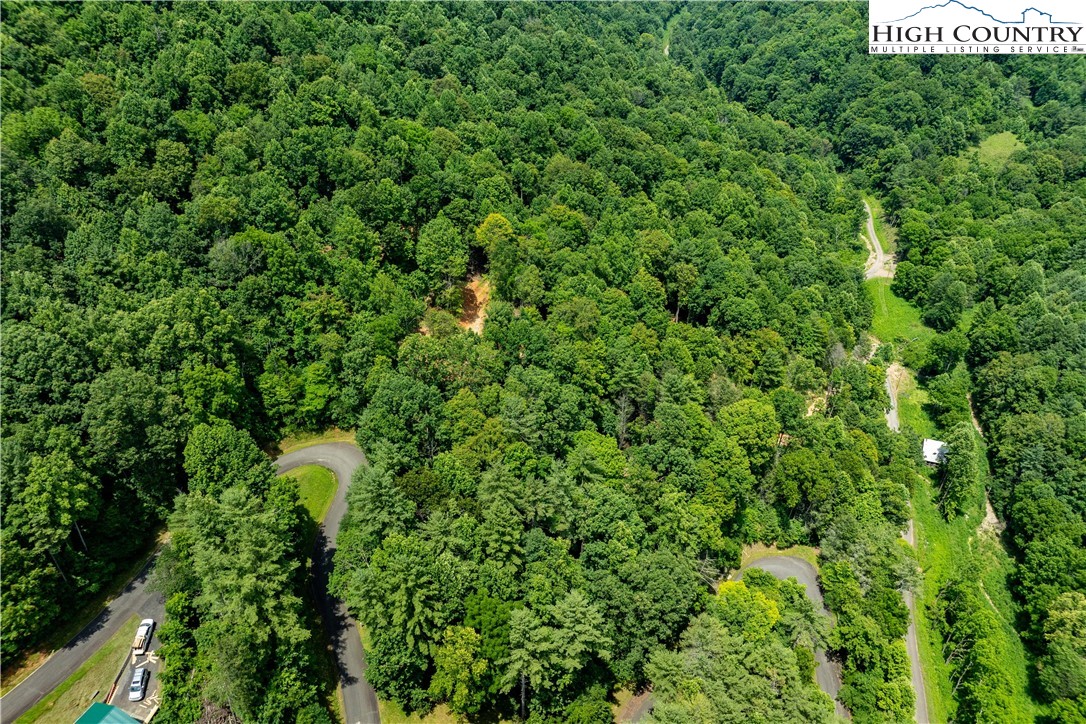 Lot 2 Lake Ridge Butler, TN 37640 - Photo 22 of 26 a view of a large yard with lots of green space