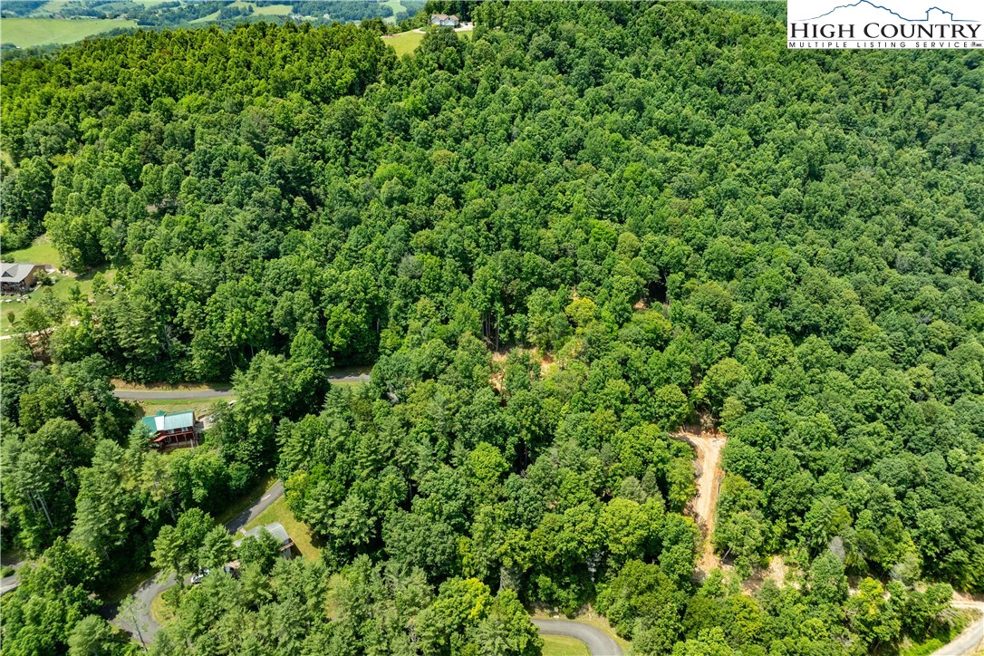 Lot 2 Lake Ridge Butler, TN 37640 - Photo 4 of 26 an aerial view of residential house with outdoor space and trees all around