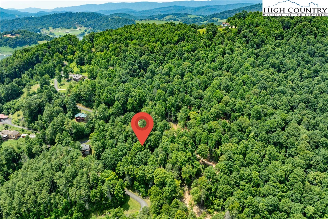 Lot 2 Lake Ridge Butler, TN 37640 - Photo 5 of 26 a view of a bunch of trees and bushes