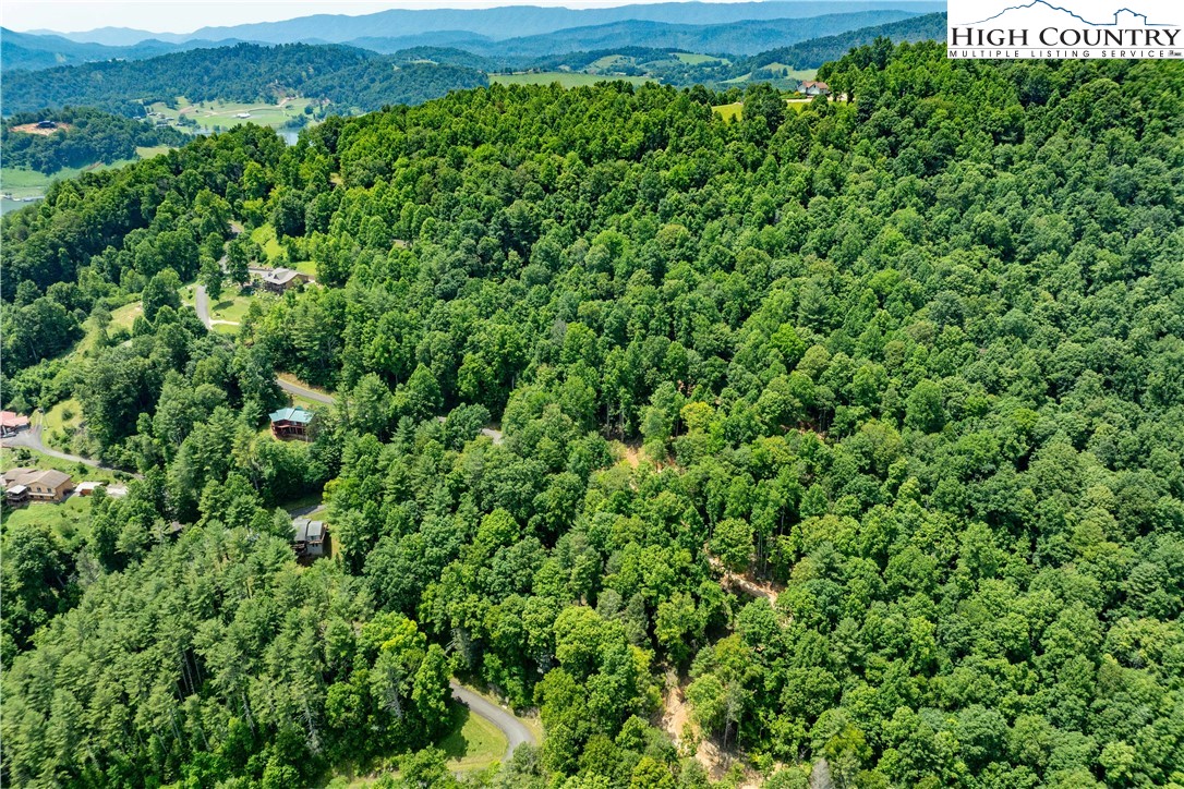 Lot 2 Lake Ridge Butler, TN 37640 - Photo 6 of 26 a view of a lush green forest with lots of tall trees