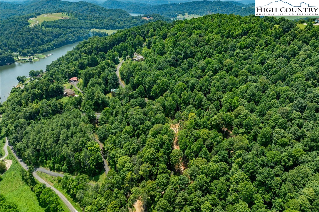 Lot 2 Lake Ridge Butler, TN 37640 - Photo 8 of 26 an aerial view of residential house with outdoor space and trees all around
