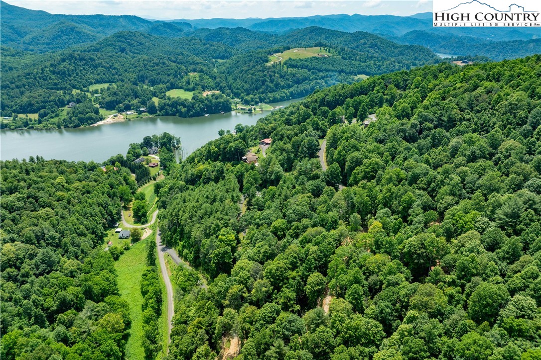 Lot 2 Lake Ridge Butler, TN 37640 - Photo 10 of 26 a view of a lush green field