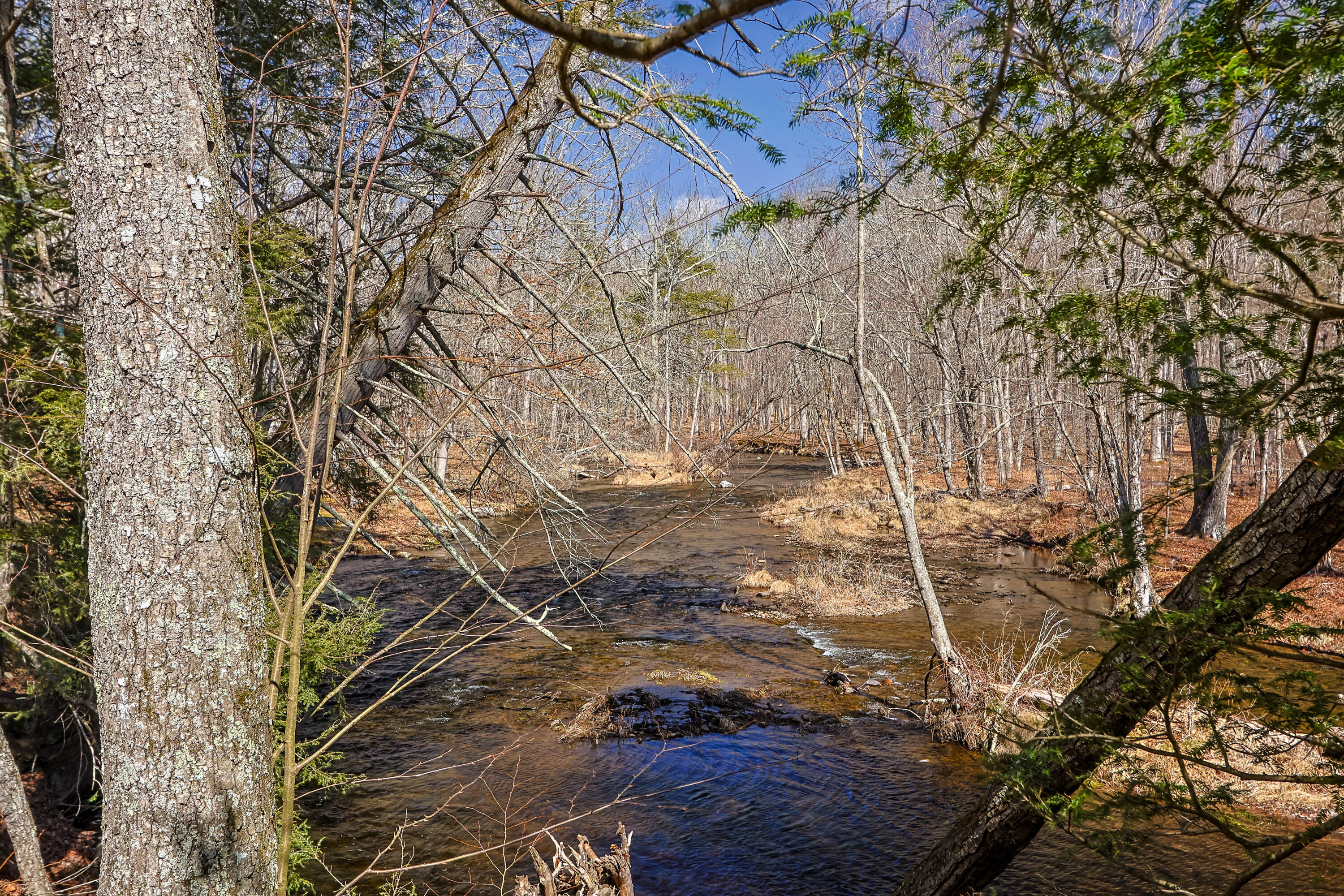 367 Saunders Drive Bushkill, PA 18324 - Photo 52 of 64 095A6750